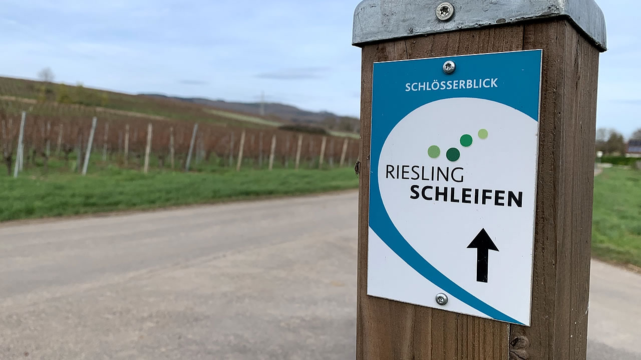 Rieslingsschleife Schlösserblick